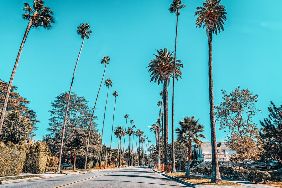 Tall palm trees lining a sunny Beverly Hills street under a vivid turquoise sky