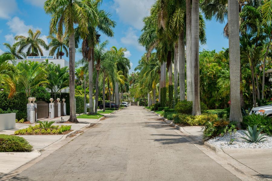 Quiet palm-lined residential street with lush tropical landscaping and gated homes in South Florida